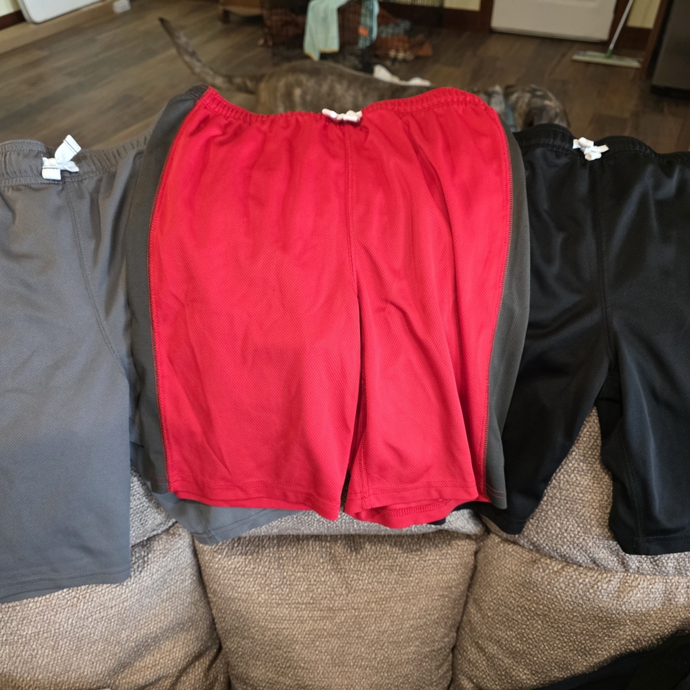 Carter's Kids Shorts Set - Red, Black, Gray